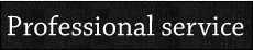Professional Service